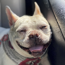 Zzzzzzzzzz