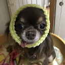 やーす〜ᵇᴱᴷ