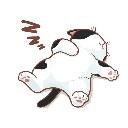 SmolShay