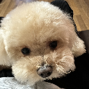 추파루
