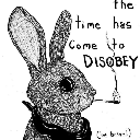 Meg Hare