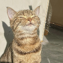 Fatih