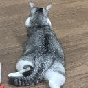 黄母凉凉