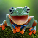 froggy