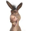 Donkey
