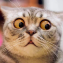 CAT愤怒阿七