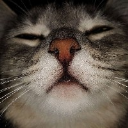 gabslord