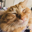 Elliott