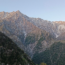 Draco07