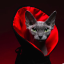 Lord KAØS