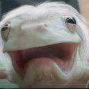 FROGZEN