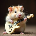 Oracle hammy