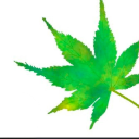 Oneleaf516