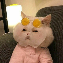 TUNGGϟ