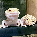 うちこ