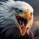 Eagle96