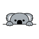 koala