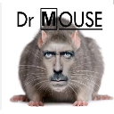 DR MOUSE