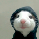 TinyAye