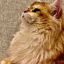Kuanhung