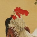 kaburagi