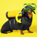 Skooba