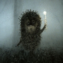 Sonic in the Fog