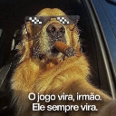 Vila Marlboro