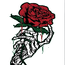 rose of looty