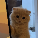75ً