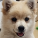 눈치없는_Nunchi