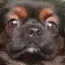 Lord Ardette