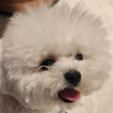 덕순대장