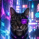 ｋｉｔｔｙ_ｌａｚｅｒ