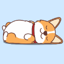 TFS Zzz