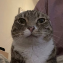 KyroTheCat