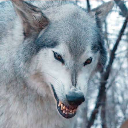 Nymeria