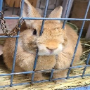 ヒデぶ