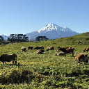 Highway35NZ
