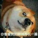 Super dog