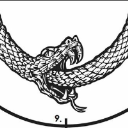 DefinitelySnake