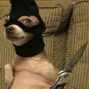 PomelitoMateo