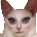 jancie
