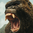 Kong