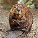 Boberek