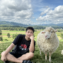 ARMuroRay33