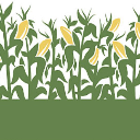 CornCob