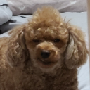 SoJu¹ˢᵗ