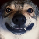 Barngus
