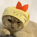 ˡᵃᵐ M Y ˚l 8ジ